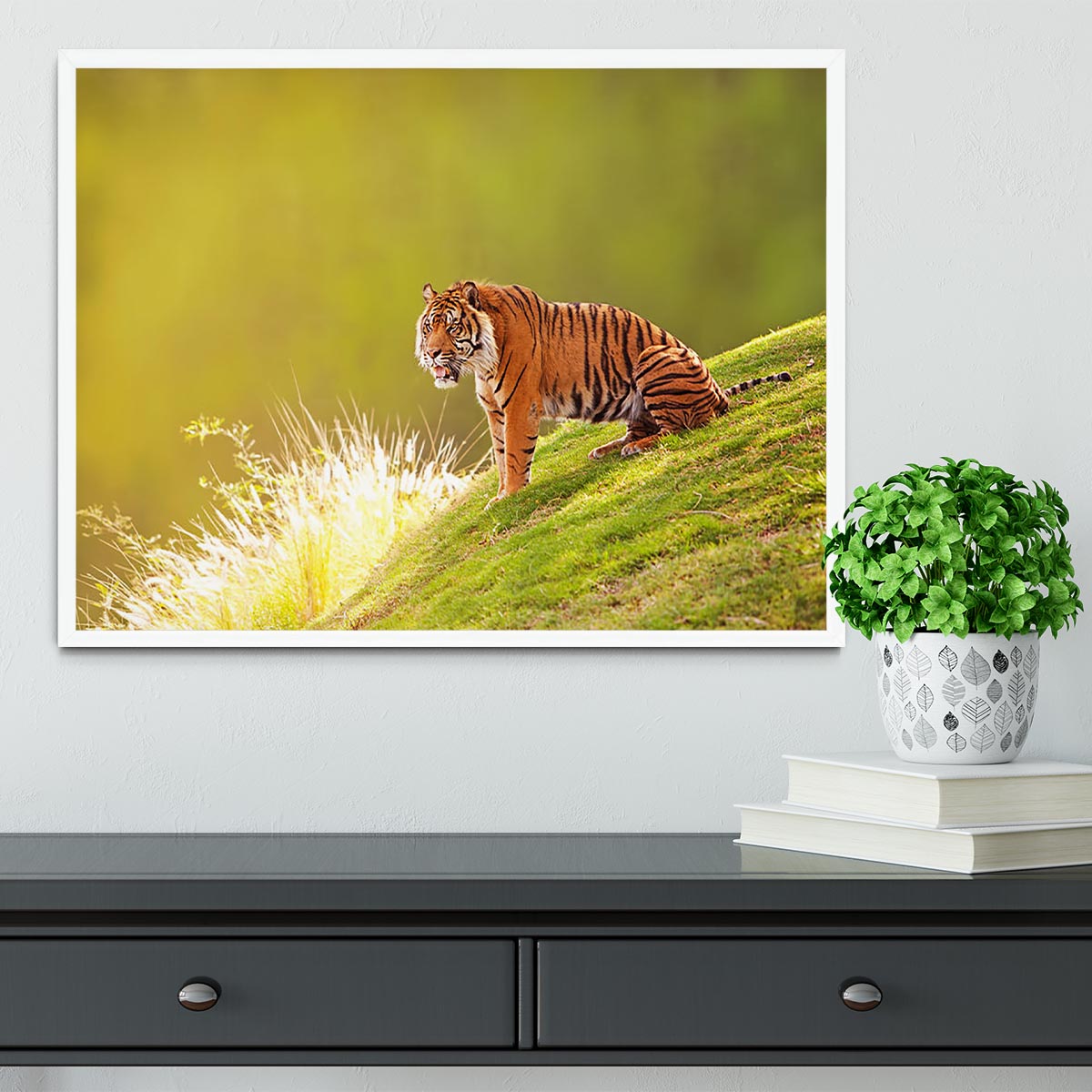 Beautiful Sumatran Tiger Framed Print - Canvas Art Rocks -6