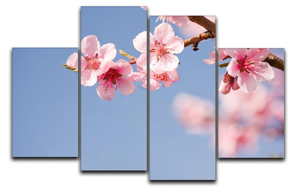 Beautiful colorful fresh spring flowers 4 Split Panel Canvas  - Canvas Art Rocks - 1
