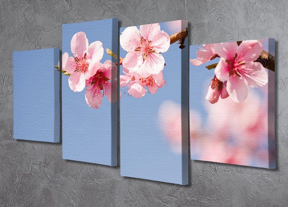 Beautiful colorful fresh spring flowers 4 Split Panel Canvas  - Canvas Art Rocks - 2