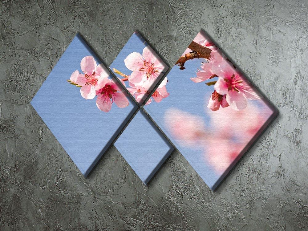 Beautiful colorful fresh spring flowers 4 Square Multi Panel Canvas  - Canvas Art Rocks - 2