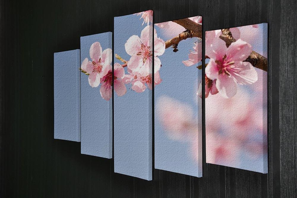Beautiful colorful fresh spring flowers 5 Split Panel Canvas  - Canvas Art Rocks - 2