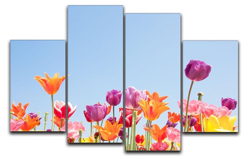 Beautiful coloured flowers 4 Split Panel Canvas  - Canvas Art Rocks - 1