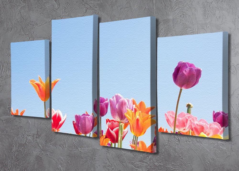 Beautiful coloured flowers 4 Split Panel Canvas  - Canvas Art Rocks - 2