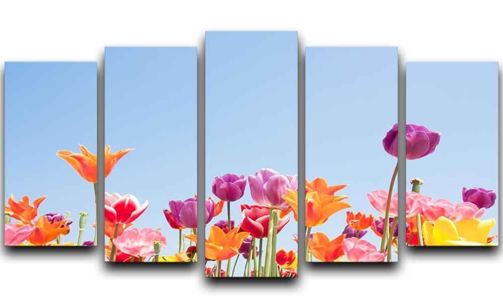Beautiful coloured flowers 5 Split Panel Canvas  - Canvas Art Rocks - 1