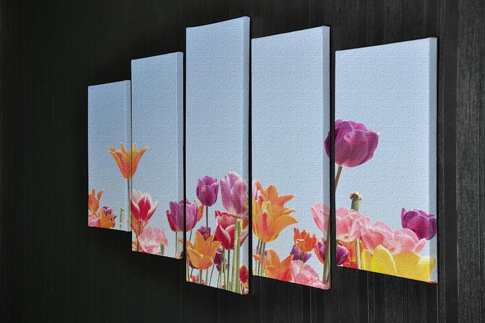 Beautiful coloured flowers 5 Split Panel Canvas  - Canvas Art Rocks - 2