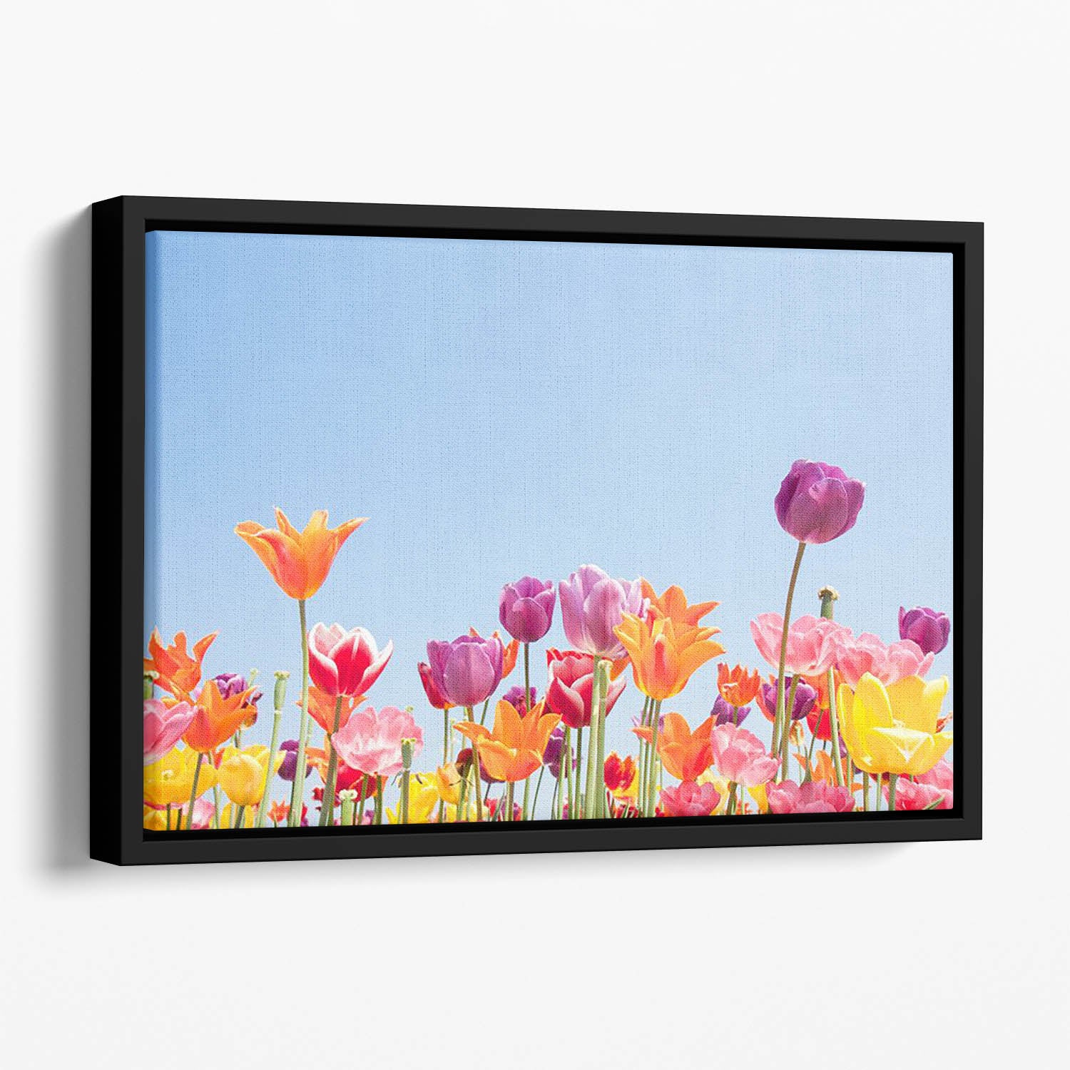 Beautiful coloured flowers Floating Framed Canvas