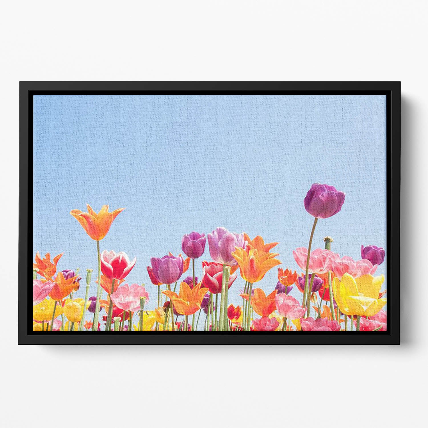 Beautiful coloured flowers Floating Framed Canvas