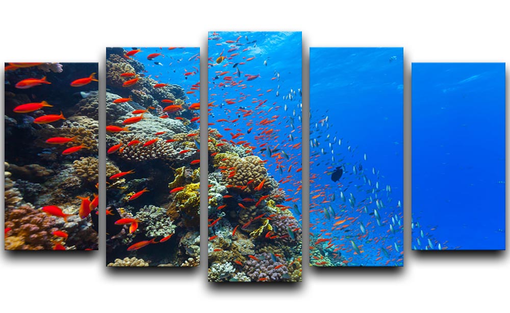 Beautiful coral reef with fish in Red sea 5 Split Panel Canvas - Canvas Art Rocks - 1