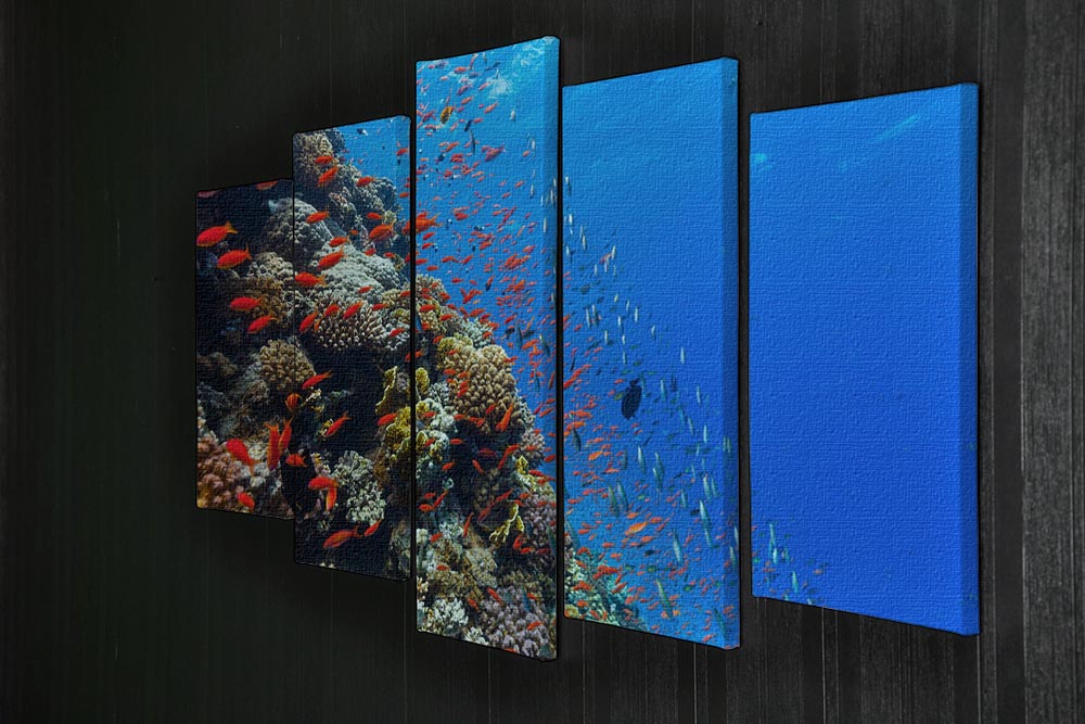 Beautiful coral reef with fish in Red sea 5 Split Panel Canvas - Canvas Art Rocks - 2