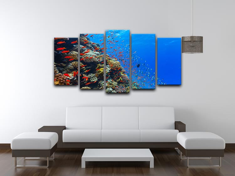 Beautiful coral reef with fish in Red sea 5 Split Panel Canvas - Canvas Art Rocks - 3