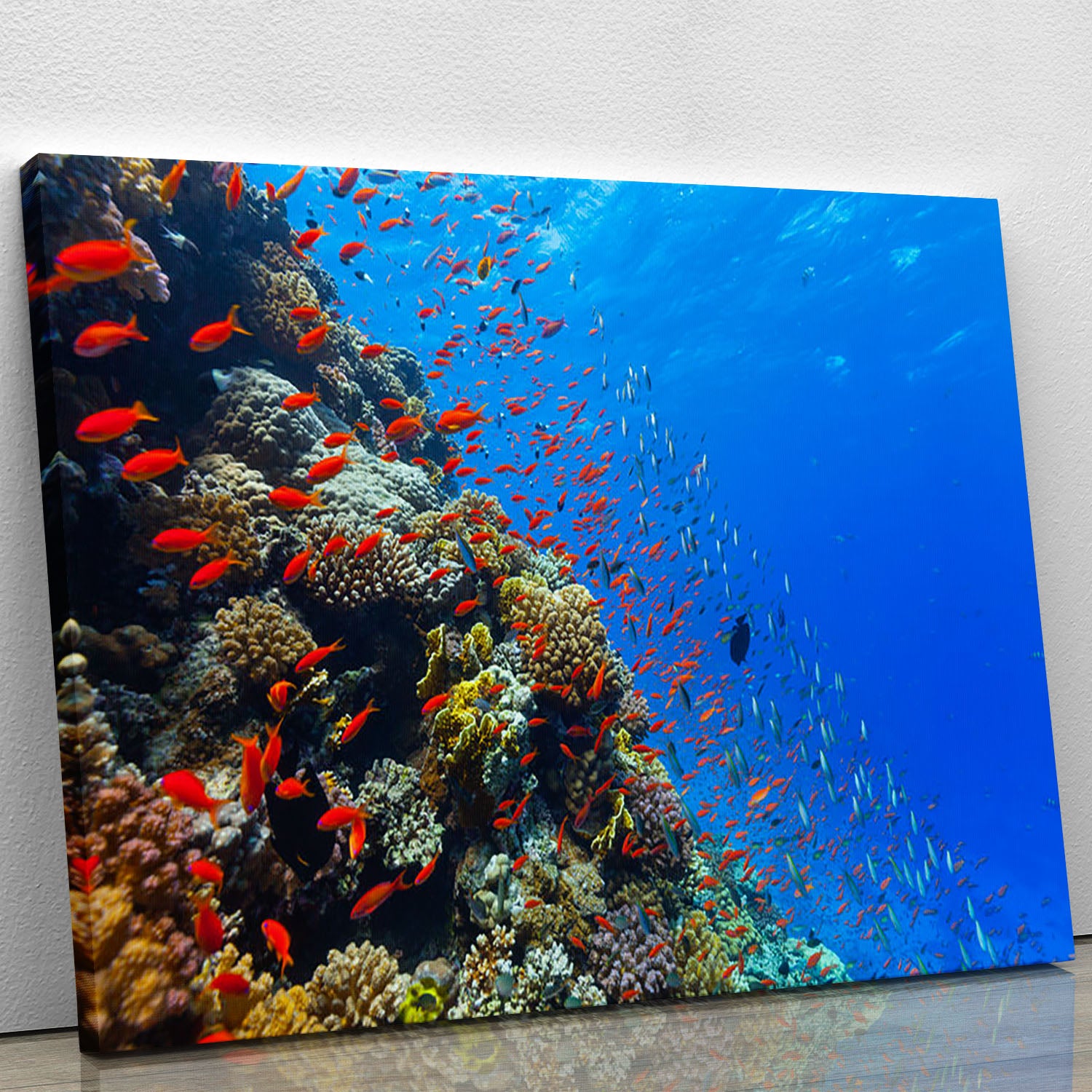 Beautiful coral reef with fish in Red sea Canvas Print or Poster - Canvas Art Rocks - 1