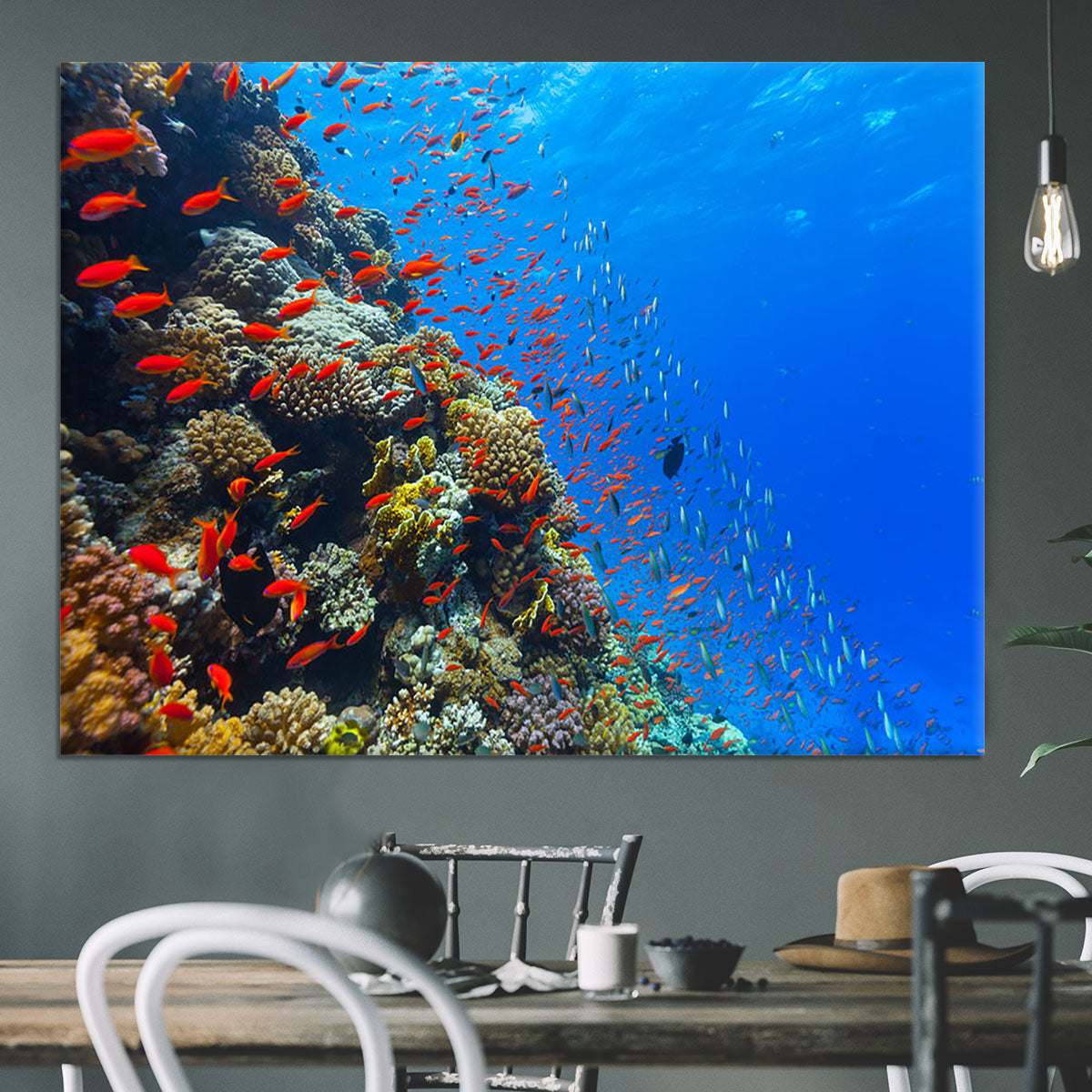 Beautiful coral reef with fish in Red sea Canvas Print or Poster - Canvas Art Rocks - 3