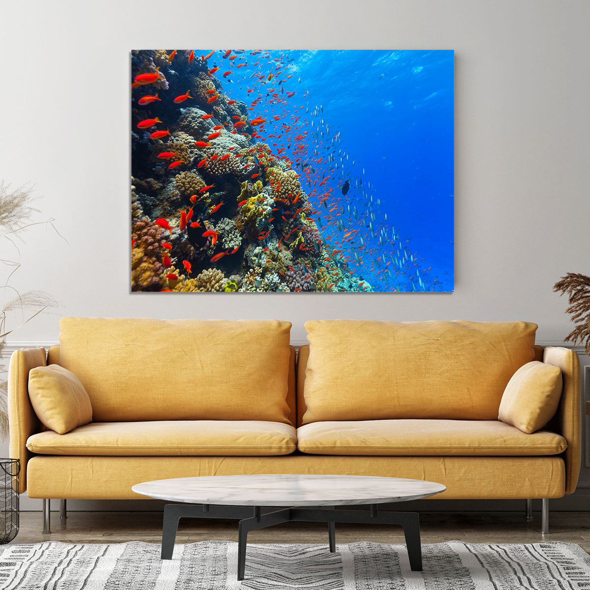 Beautiful coral reef with fish in Red sea Canvas Print or Poster - Canvas Art Rocks - 4