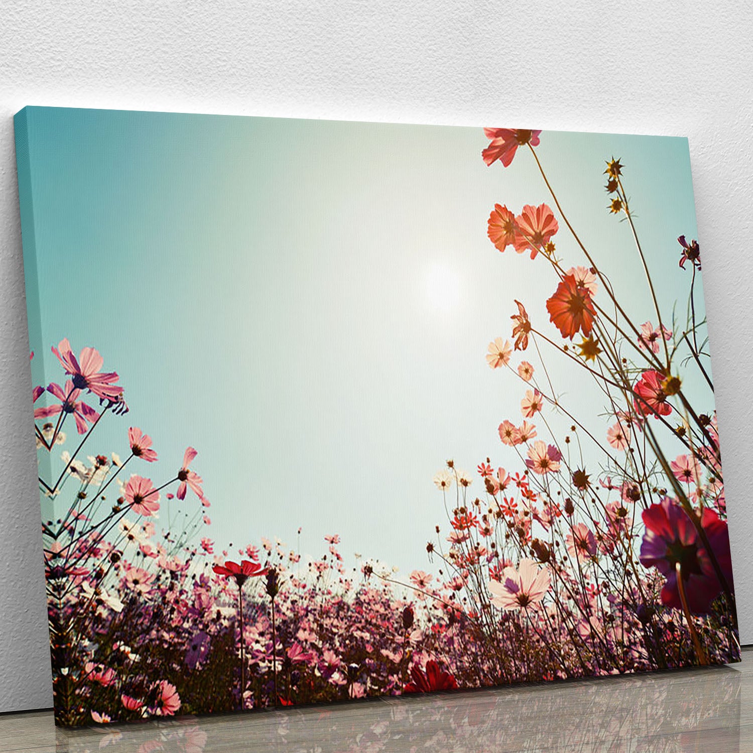 Beautiful cosmos flower field Canvas Print or Poster - Canvas Art Rocks - 1