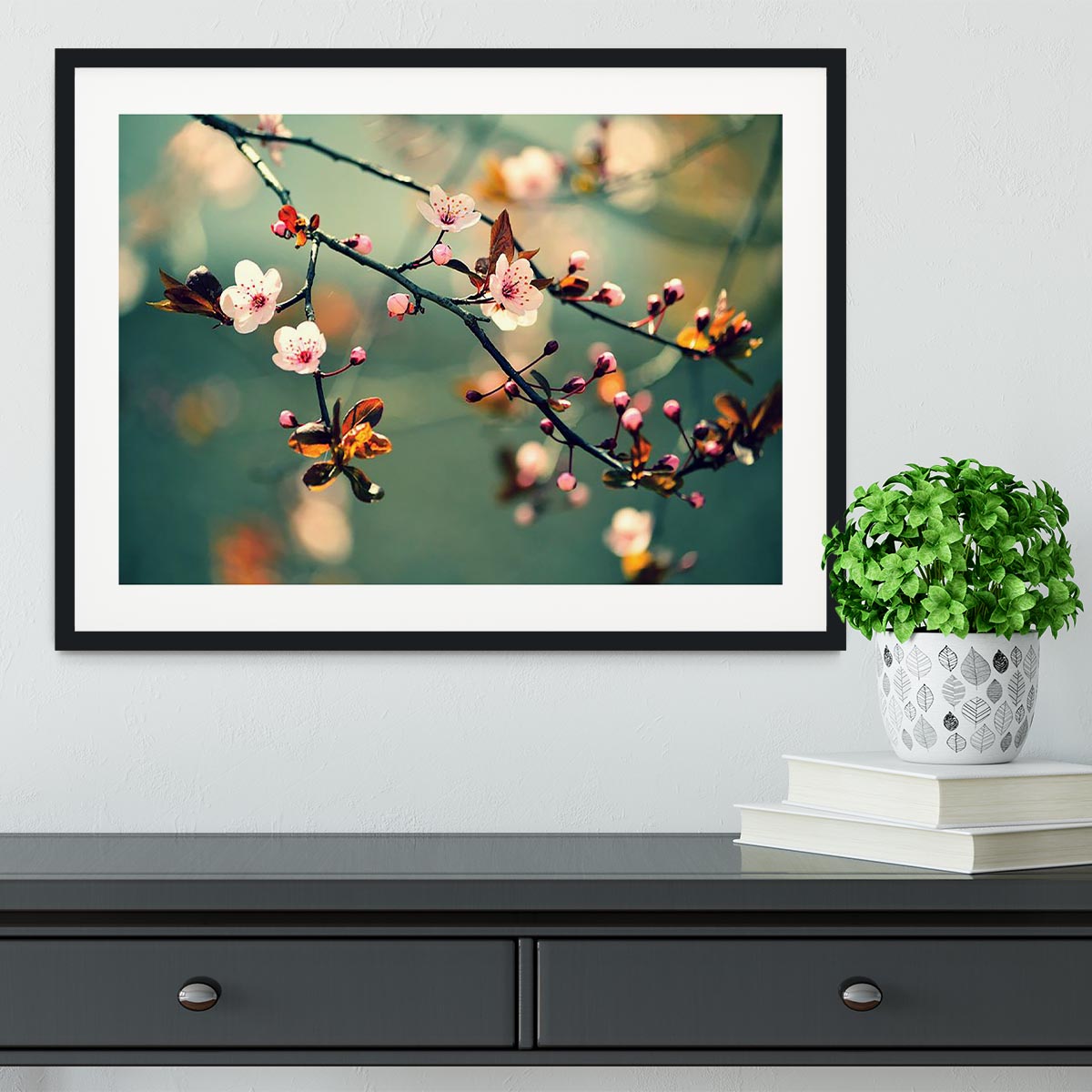 Beautiful flowering Japanese cherry Framed Print - Canvas Art Rocks - 1