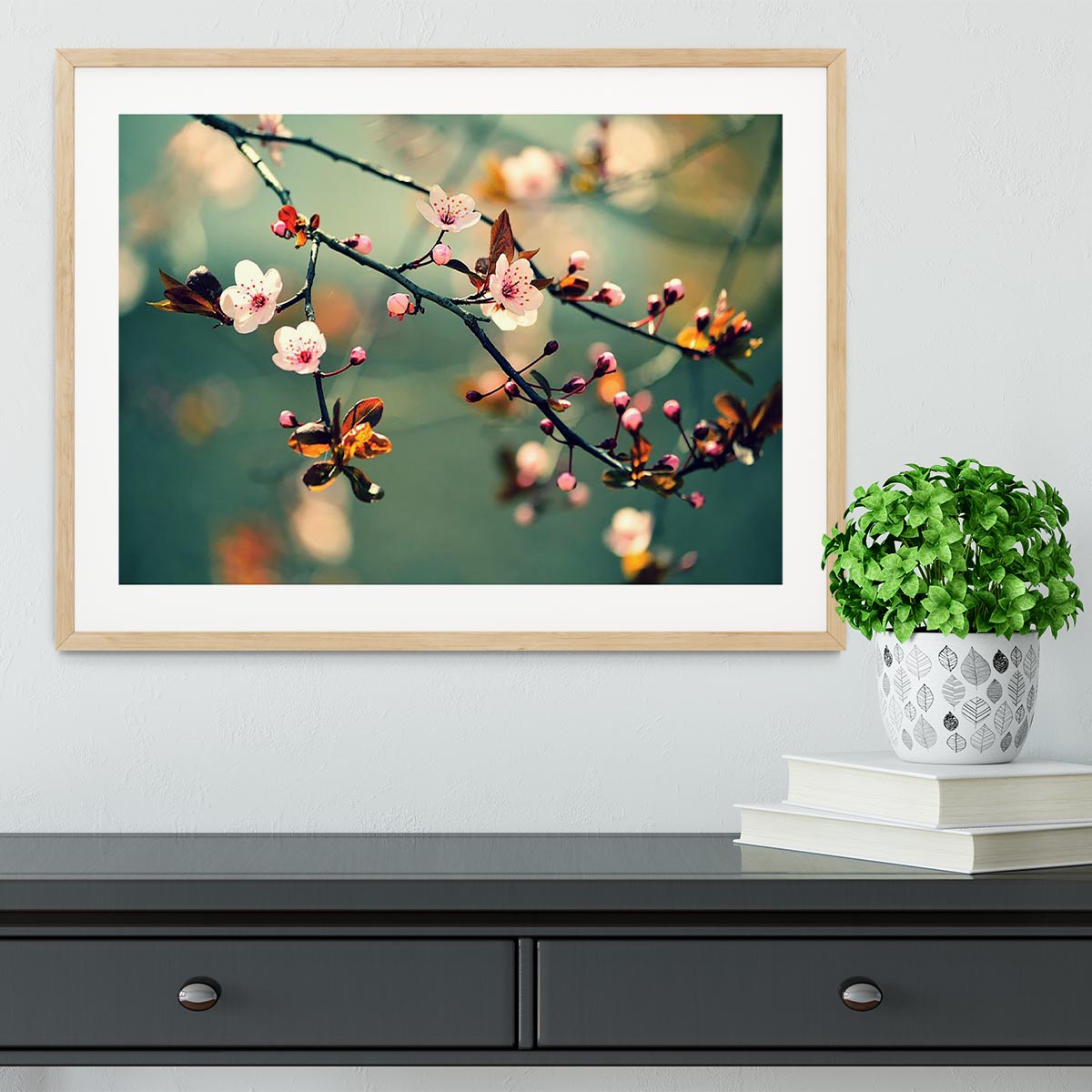 Beautiful flowering Japanese cherry Framed Print - Canvas Art Rocks - 3