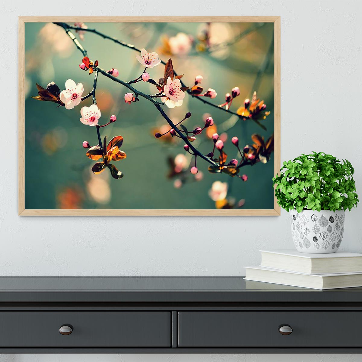 Beautiful flowering Japanese cherry Framed Print - Canvas Art Rocks - 4