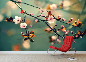 Beautiful flowering Japanese cherry Wall Mural Wallpaper - Canvas Art Rocks - 2