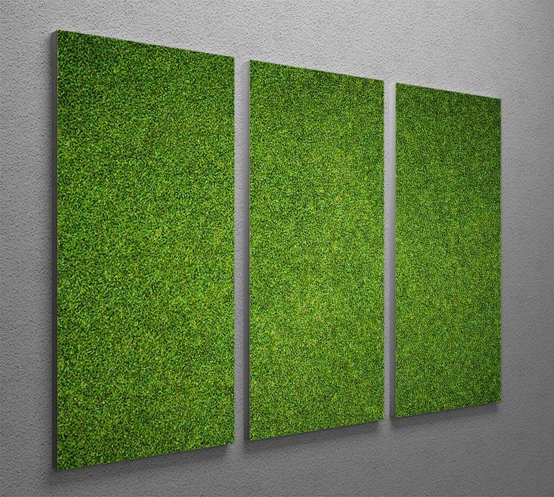Beautiful green grass 3 Split Panel Canvas Print - Canvas Art Rocks - 2