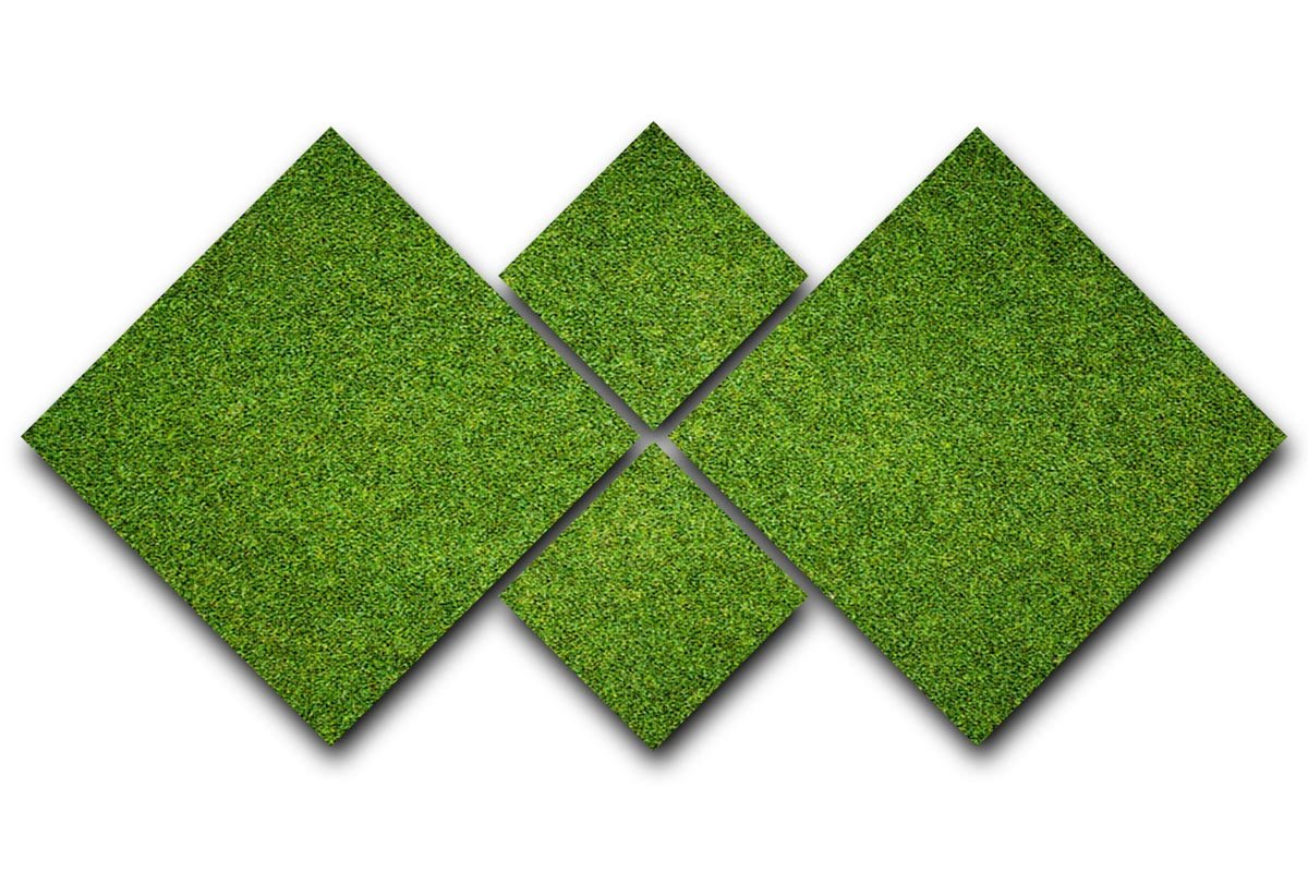 Beautiful green grass 4 Square Multi Panel Canvas  - Canvas Art Rocks - 1