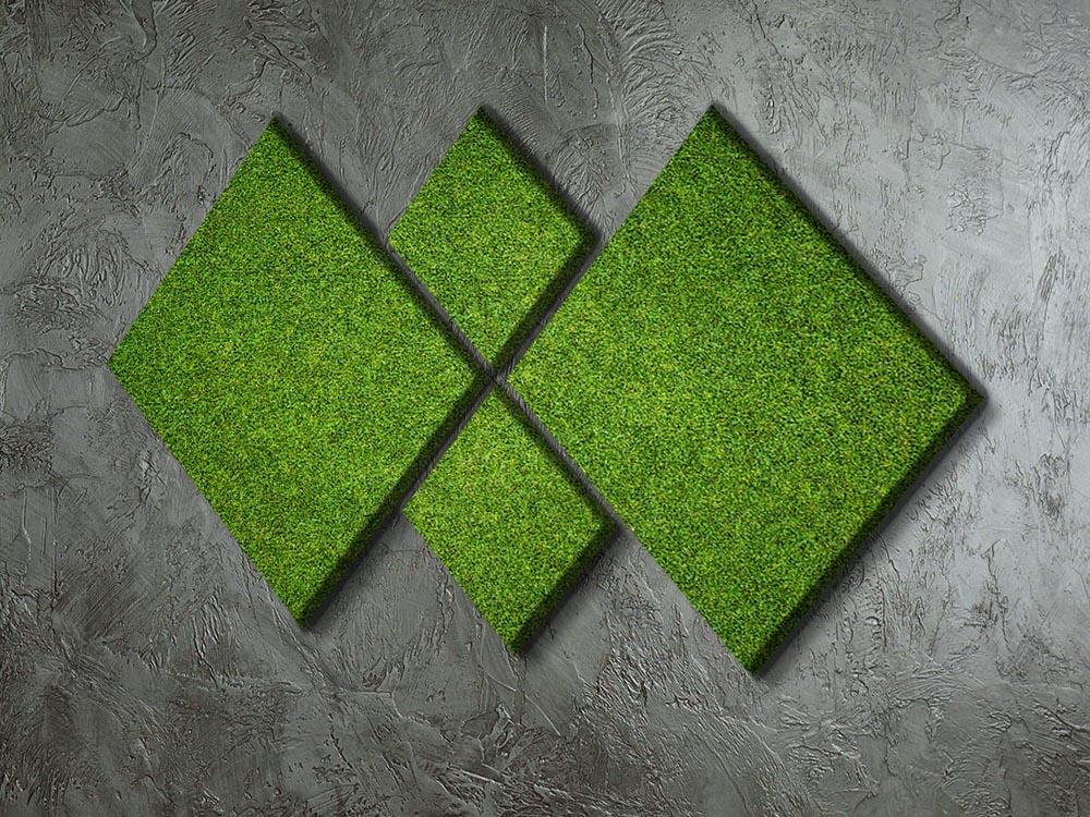 Beautiful green grass 4 Square Multi Panel Canvas  - Canvas Art Rocks - 2