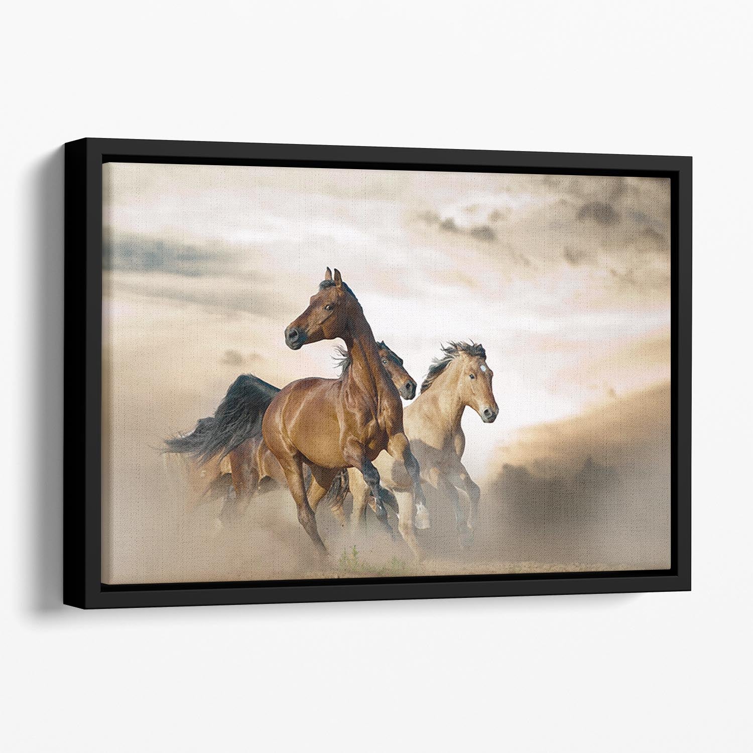 Beautiful horses of different breeds Floating Framed Canvas - Canvas Art Rocks - 1