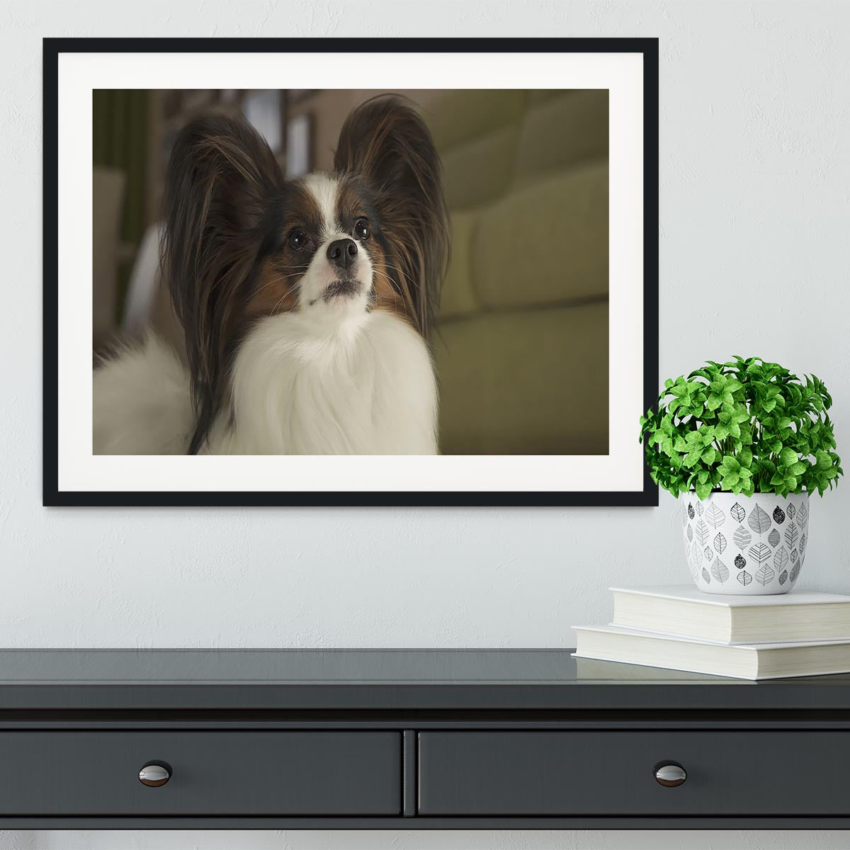 Beautiful male dog Papillon Framed Print - Canvas Art Rocks - 1