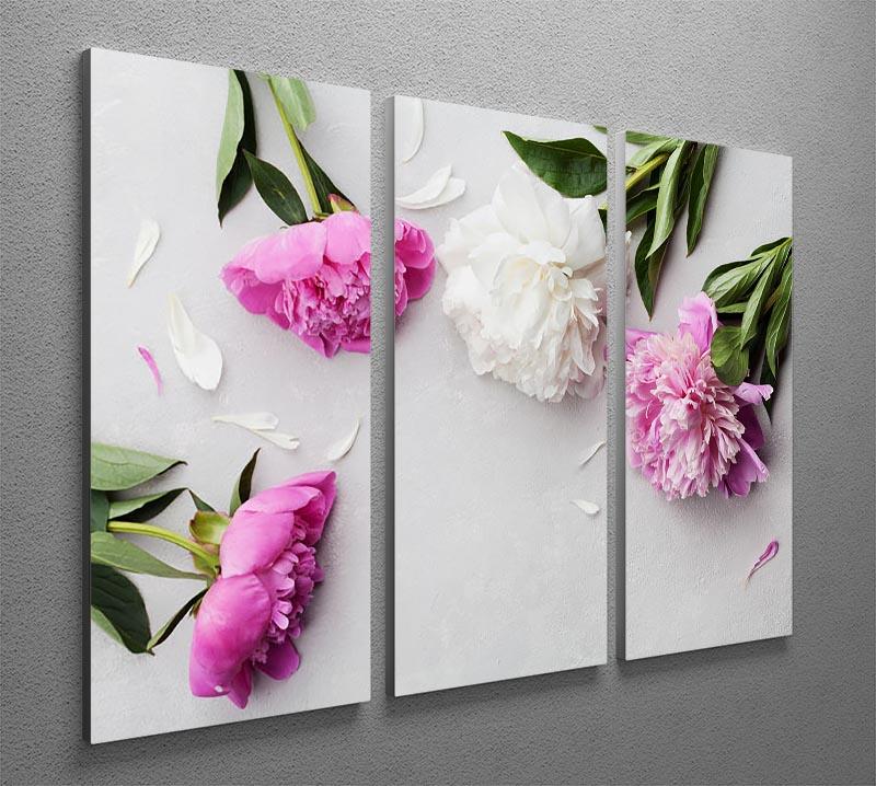 Beautiful pink and white peony flowers 3 Split Panel Canvas Print - Canvas Art Rocks - 2