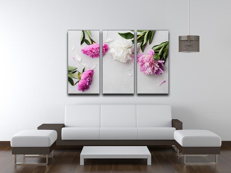Beautiful pink and white peony flowers 3 Split Panel Canvas Print - Canvas Art Rocks - 3