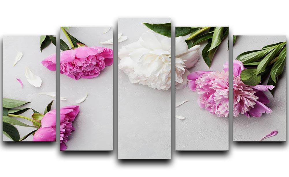 Beautiful pink and white peony flowers 5 Split Panel Canvas  - Canvas Art Rocks - 1