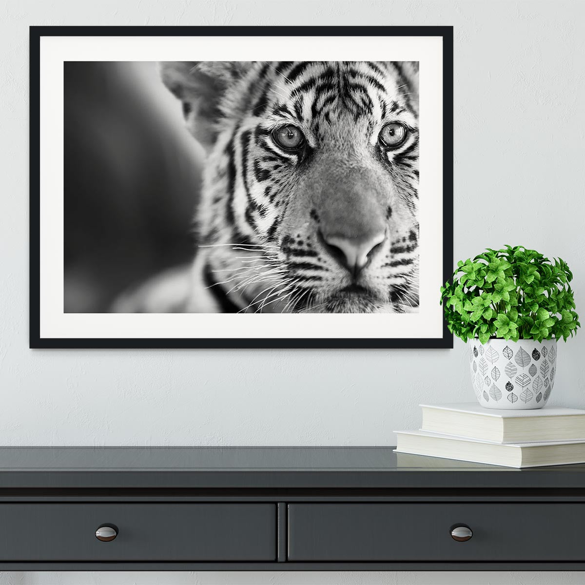 Beautiful young tiger Framed Print - Canvas Art Rocks - 1