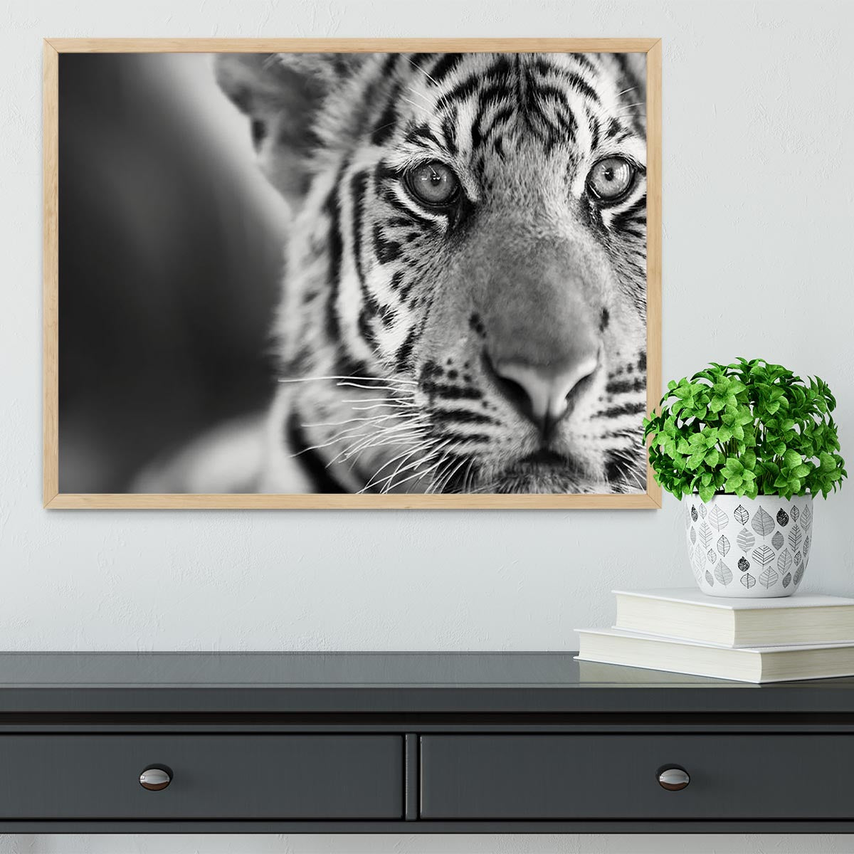 Beautiful young tiger Framed Print - Canvas Art Rocks - 4
