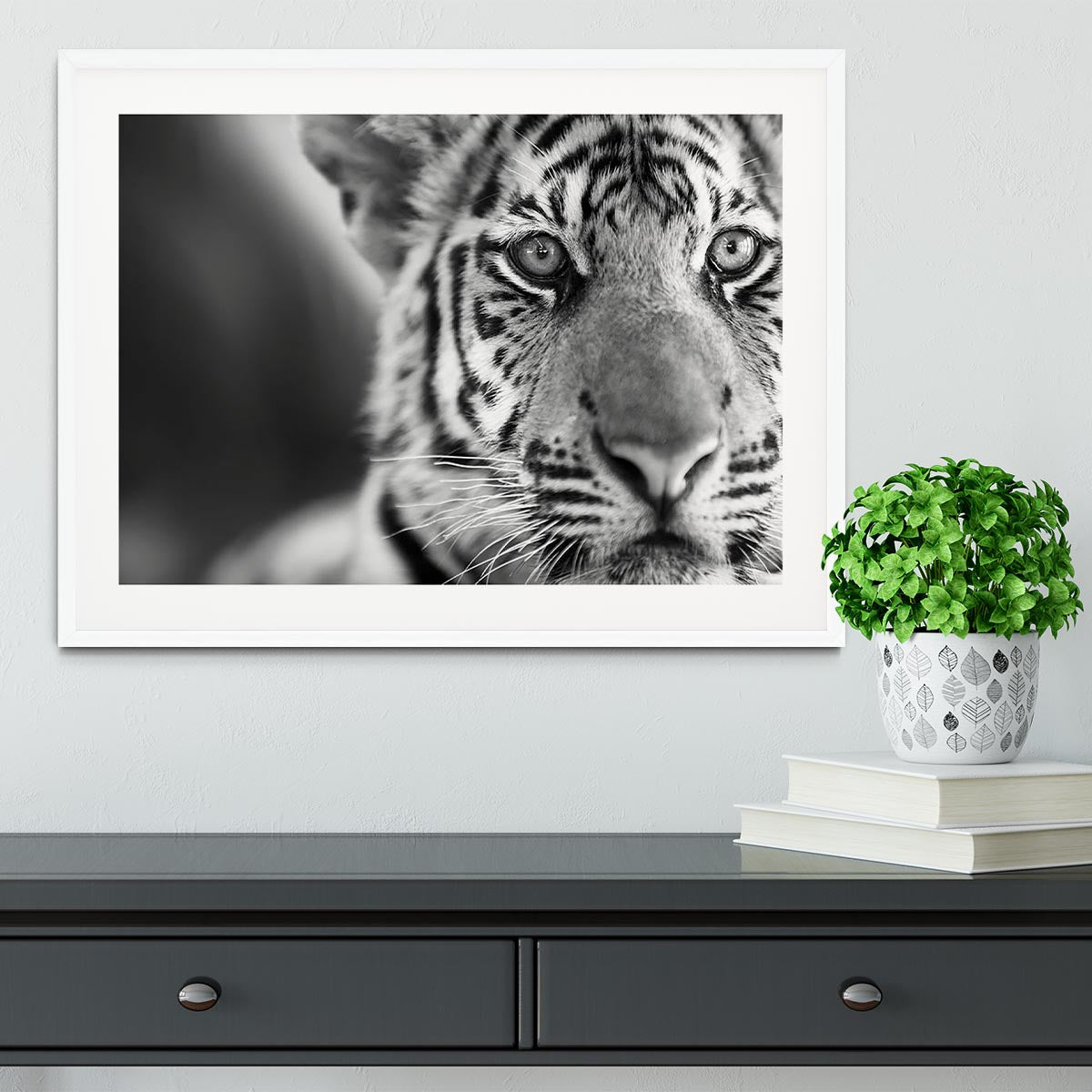 Beautiful young tiger Framed Print - Canvas Art Rocks - 5