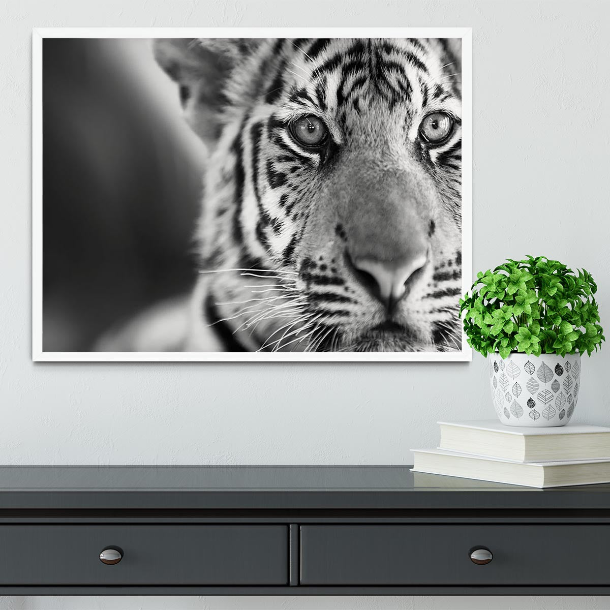 Beautiful young tiger Framed Print - Canvas Art Rocks -6
