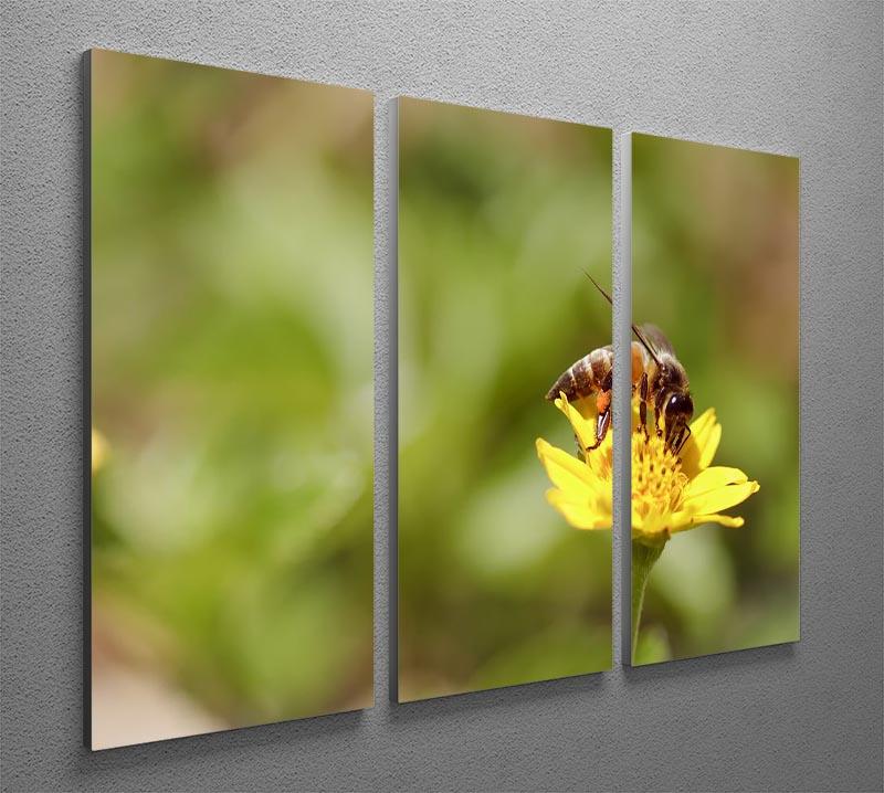 Bee and small sunflower 3 Split Panel Canvas Print - Canvas Art Rocks - 2