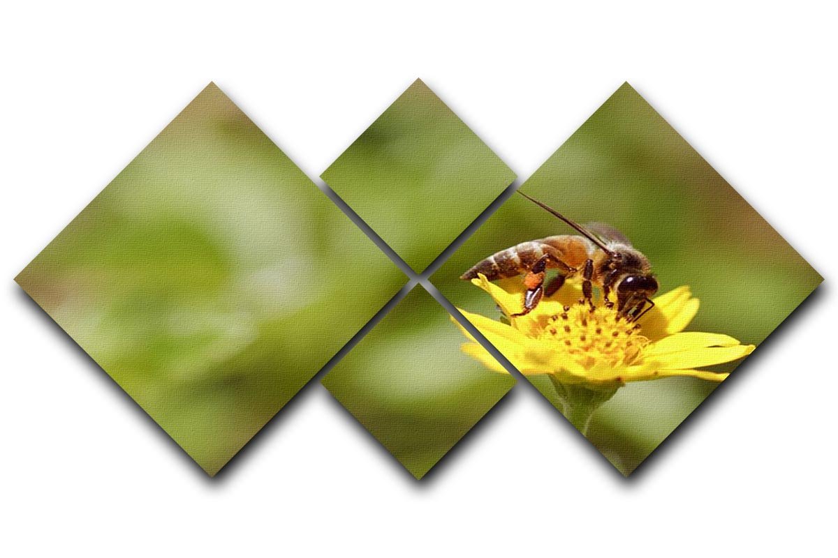 Bee and small sunflower 4 Square Multi Panel Canvas  - Canvas Art Rocks - 1