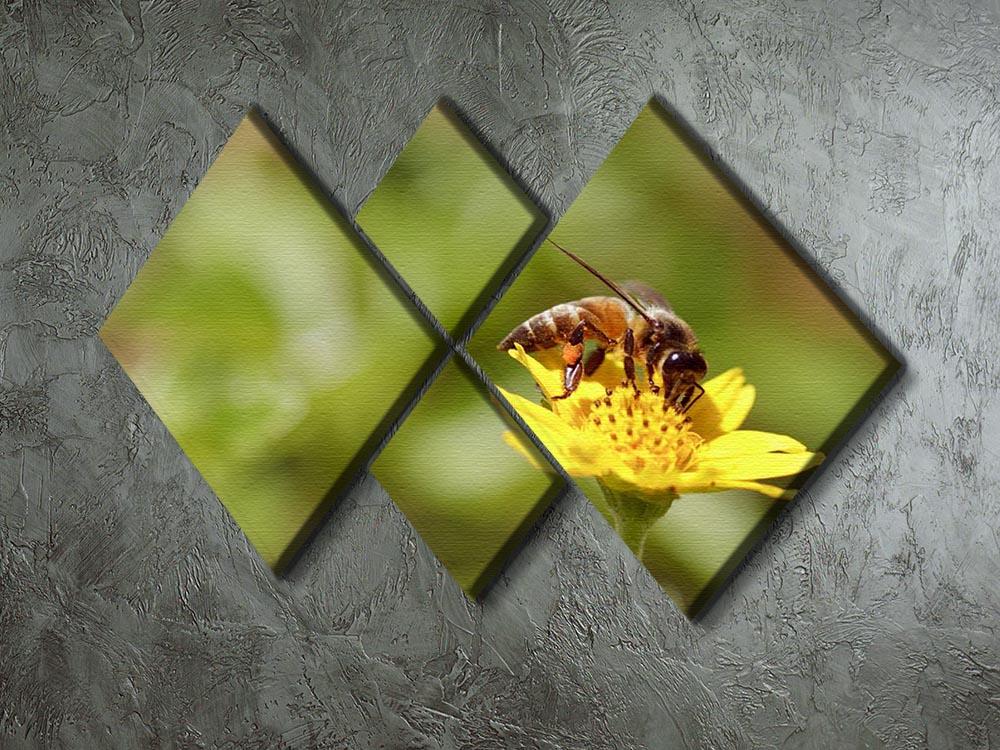 Bee and small sunflower 4 Square Multi Panel Canvas  - Canvas Art Rocks - 2