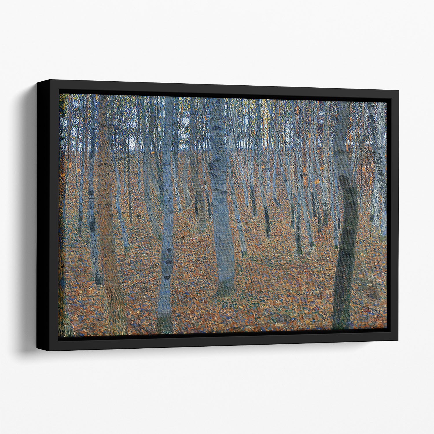Beech Grove I by Klimt Floating Framed Canvas