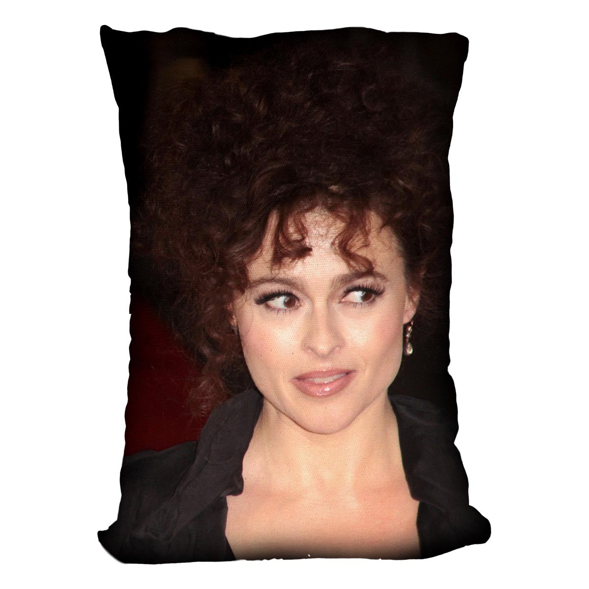 Bellatrix Lestrange Harry Potter Cushion