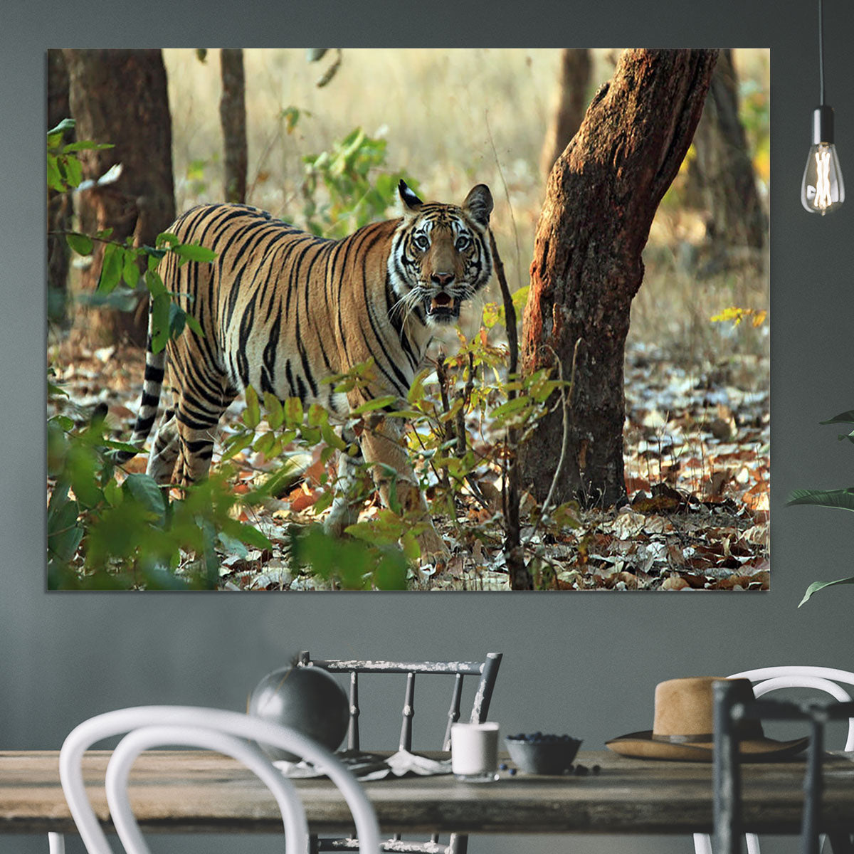 Bengal Tiger Canvas Print or Poster - Canvas Art Rocks - 3