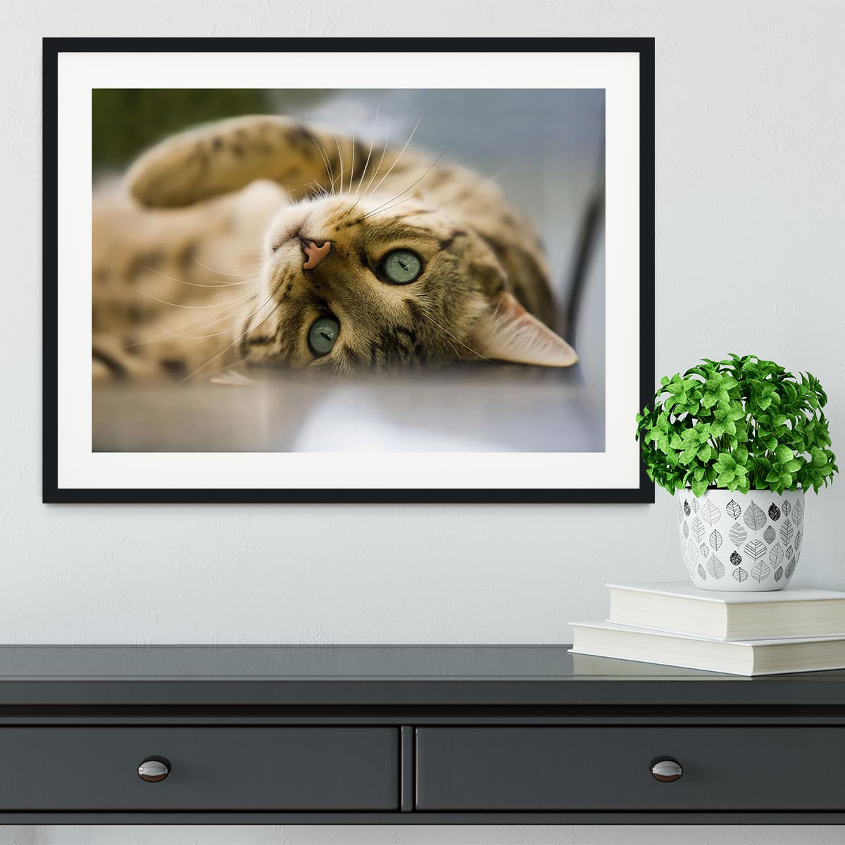 Bengal cat Framed Print - Canvas Art Rocks - 1