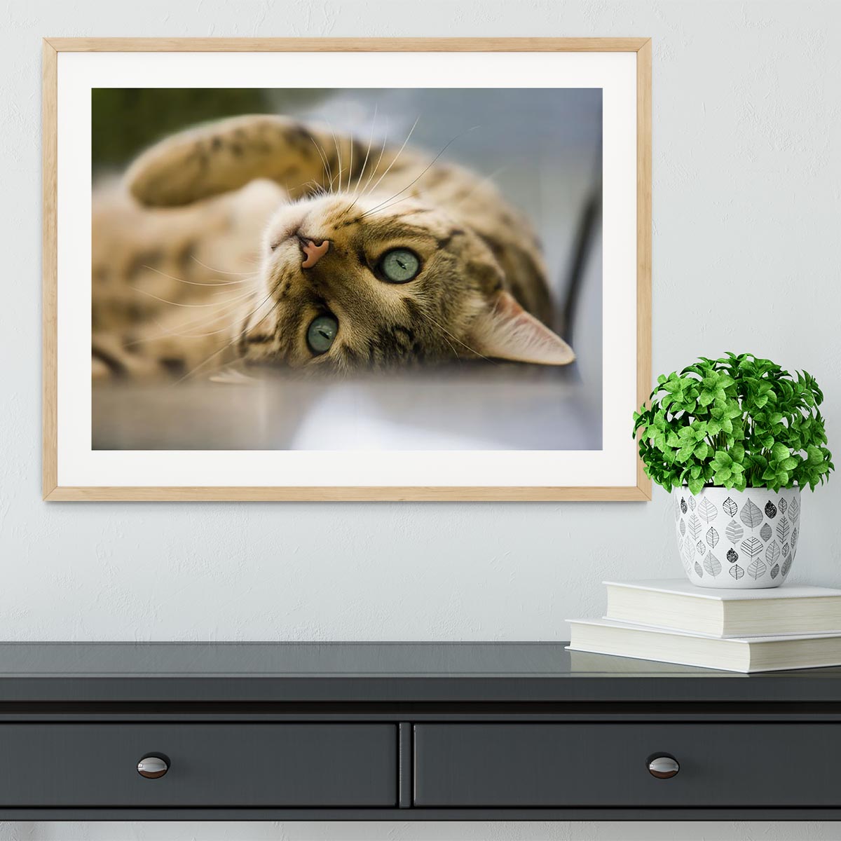 Bengal cat Framed Print - Canvas Art Rocks - 3