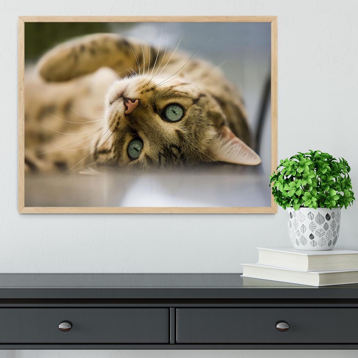 Bengal cat Framed Print - Canvas Art Rocks - 4