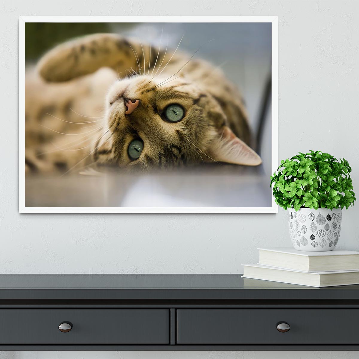 Bengal cat Framed Print - Canvas Art Rocks -6