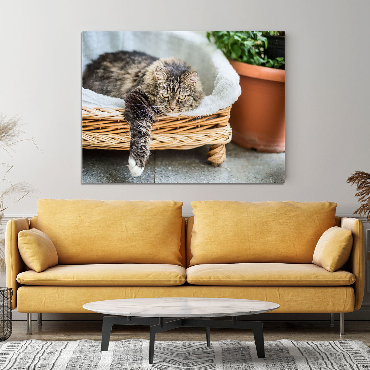 Big fluffy cat lying in wicker chaise sofa couch on balcony or garden terrace with flowers pot Canvas Print or Poster - Canvas Art Rocks - 4