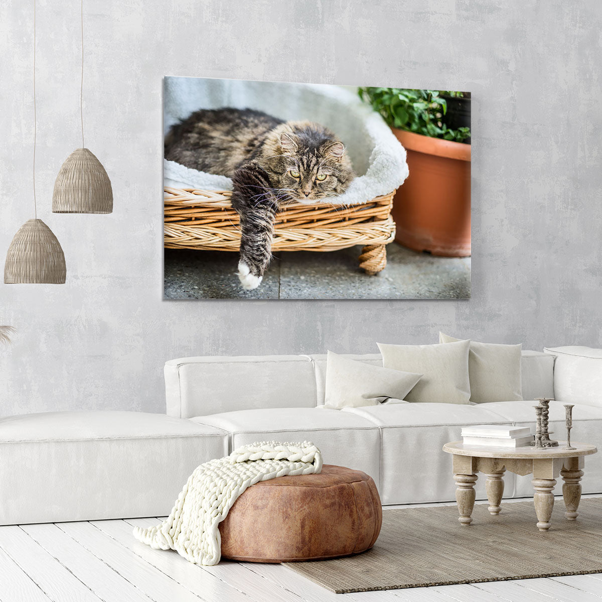 Big fluffy cat lying in wicker chaise sofa couch on balcony or garden terrace with flowers pot Canvas Print or Poster - Canvas Art Rocks - 6