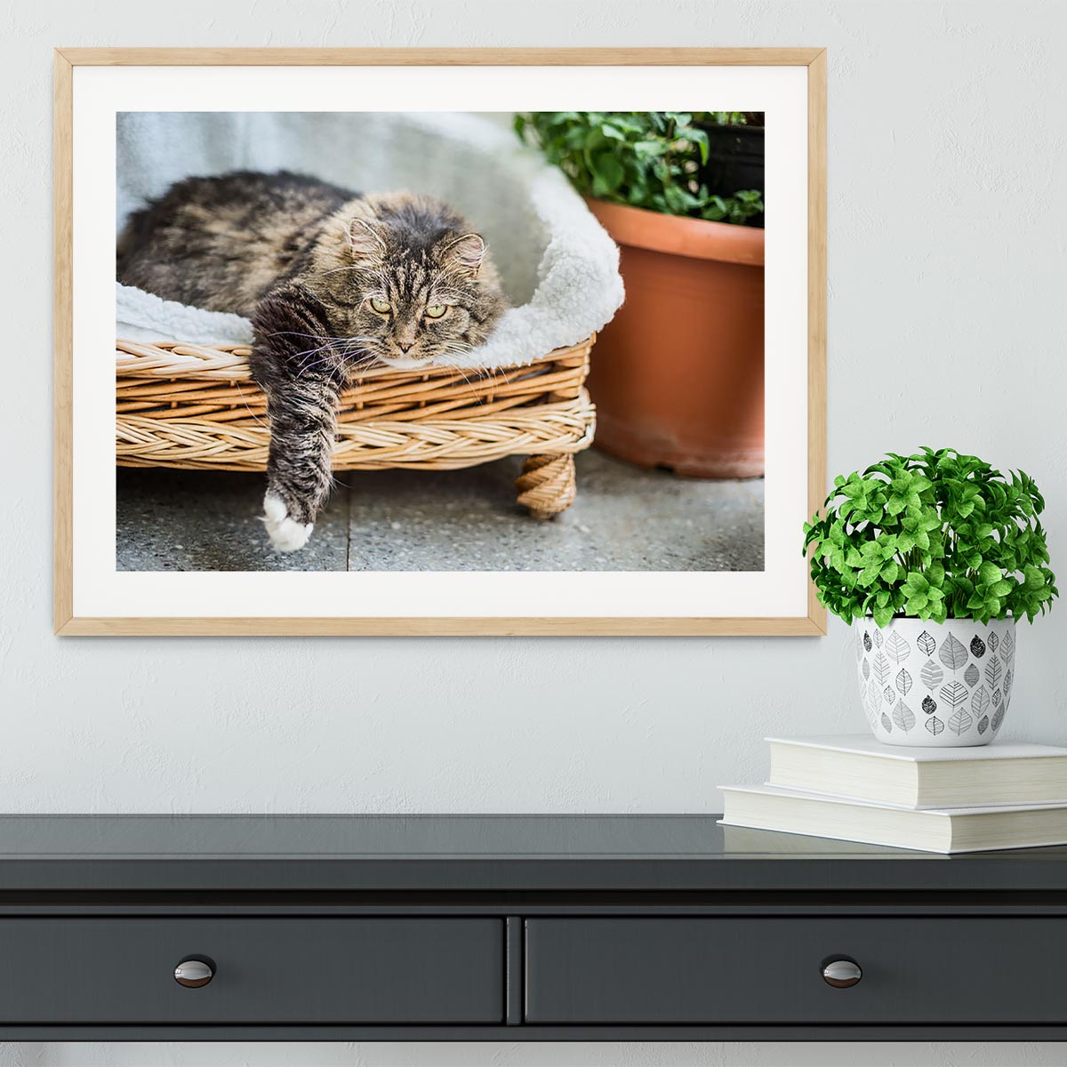 Big fluffy cat lying in wicker chaise sofa couch on balcony or garden terrace with flowers pot Framed Print - Canvas Art Rocks - 3