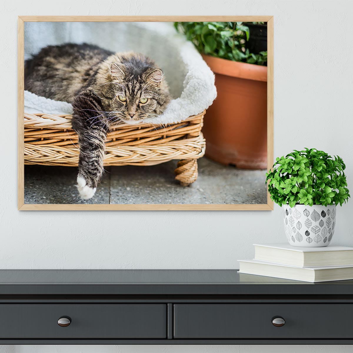 Big fluffy cat lying in wicker chaise sofa couch on balcony or garden terrace with flowers pot Framed Print - Canvas Art Rocks - 4
