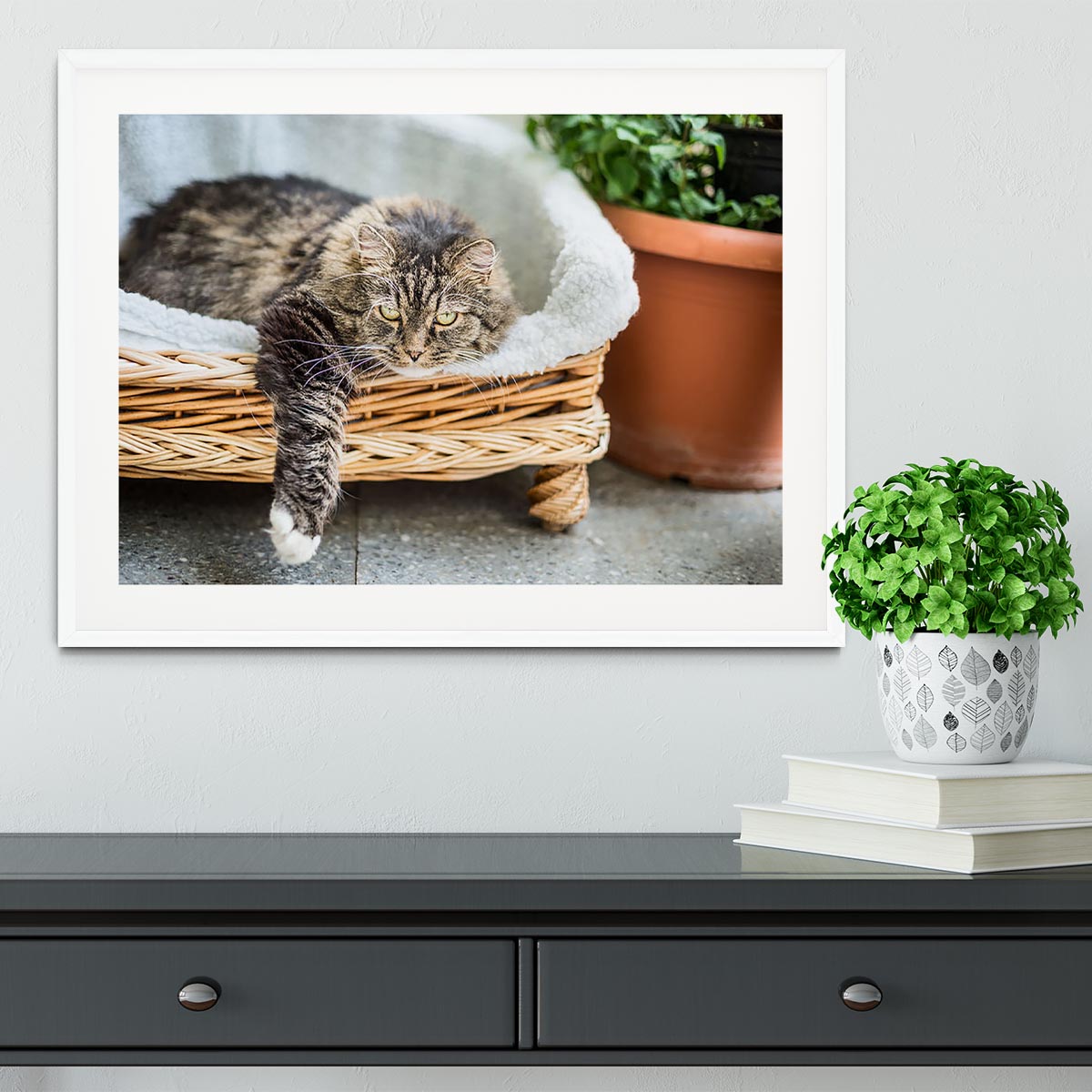 Big fluffy cat lying in wicker chaise sofa couch on balcony or garden terrace with flowers pot Framed Print - Canvas Art Rocks - 5