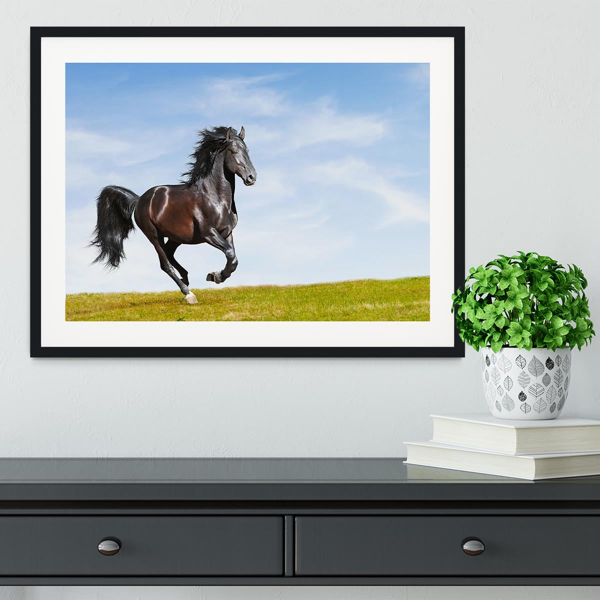 Black Kladruby horse rung gallop Framed Print - Canvas Art Rocks - 1